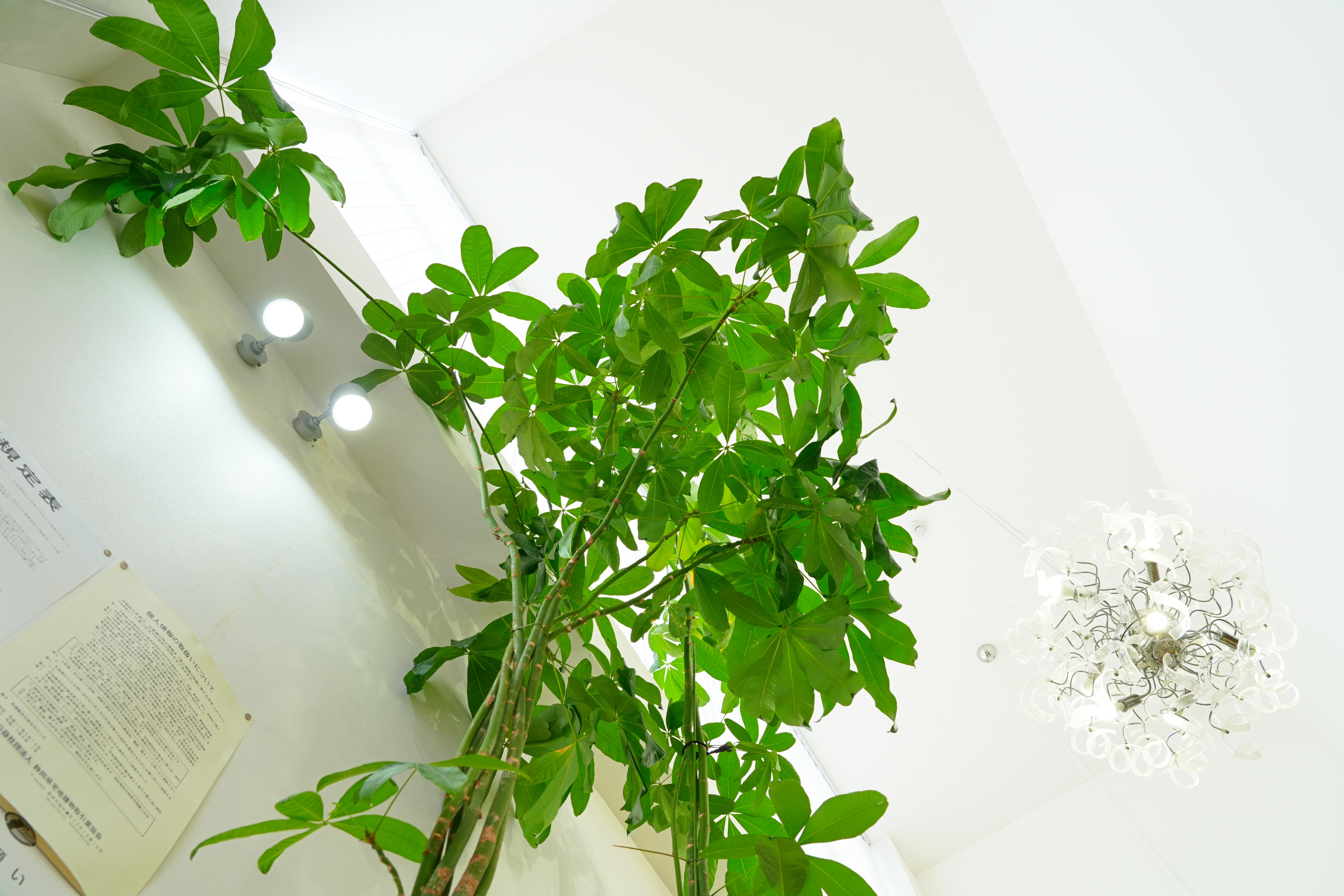 Rooms賃貸　浜松西店 - サムネイル 7